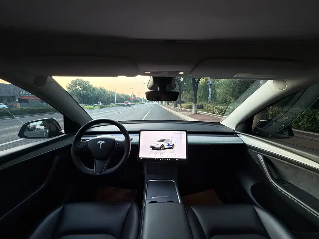 Tesla Model Y — миниатюра 15