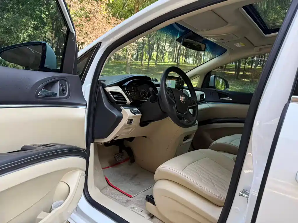 Buick GL8 — миниатюра 6