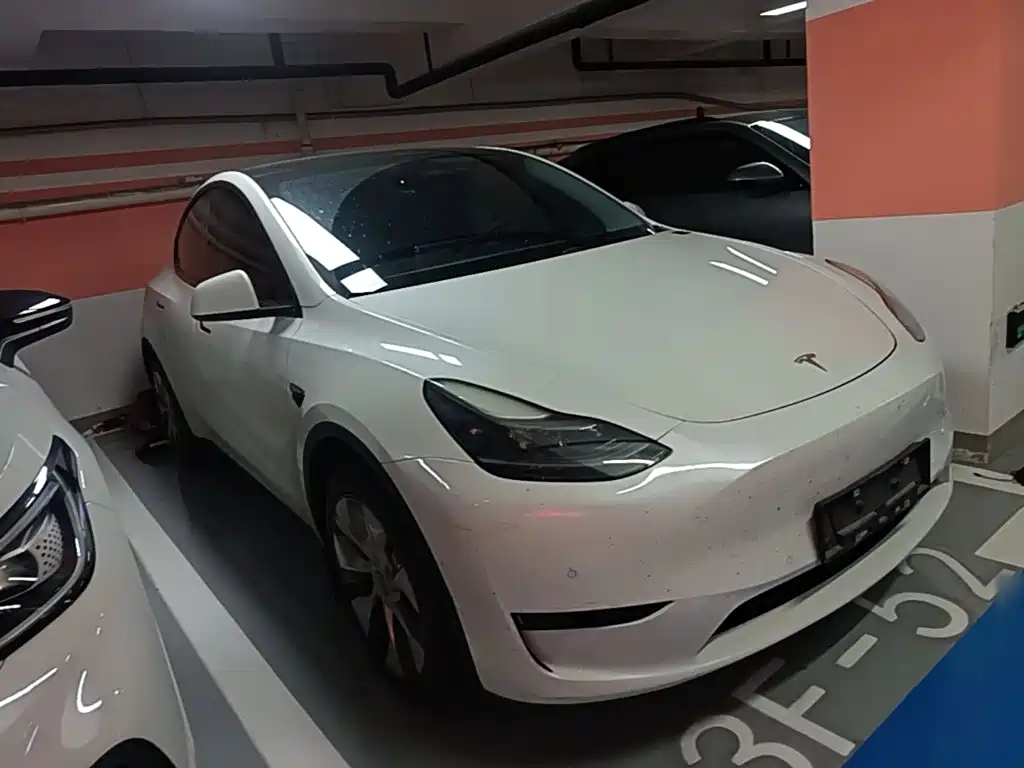 Tesla Model Y — миниатюра 4