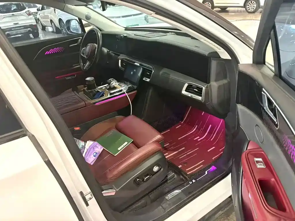 Hongqi Hongqi E-HS9 — миниатюра 10
