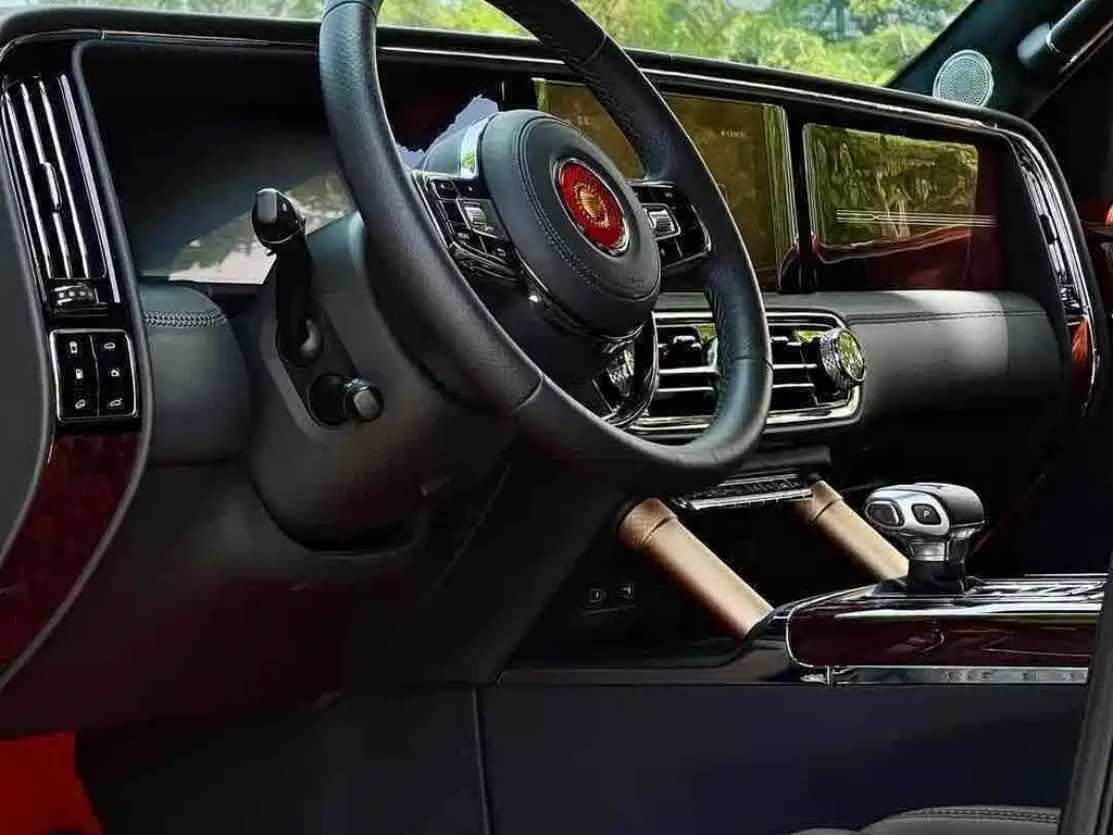 Hongqi Hongqi Golden Sunflower Guoyao — миниатюра 16