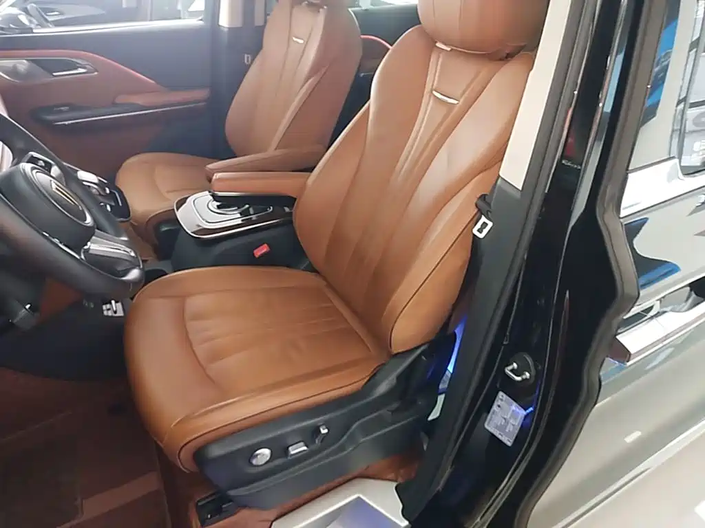 Hongqi Hongqi HQ9 — миниатюра 16