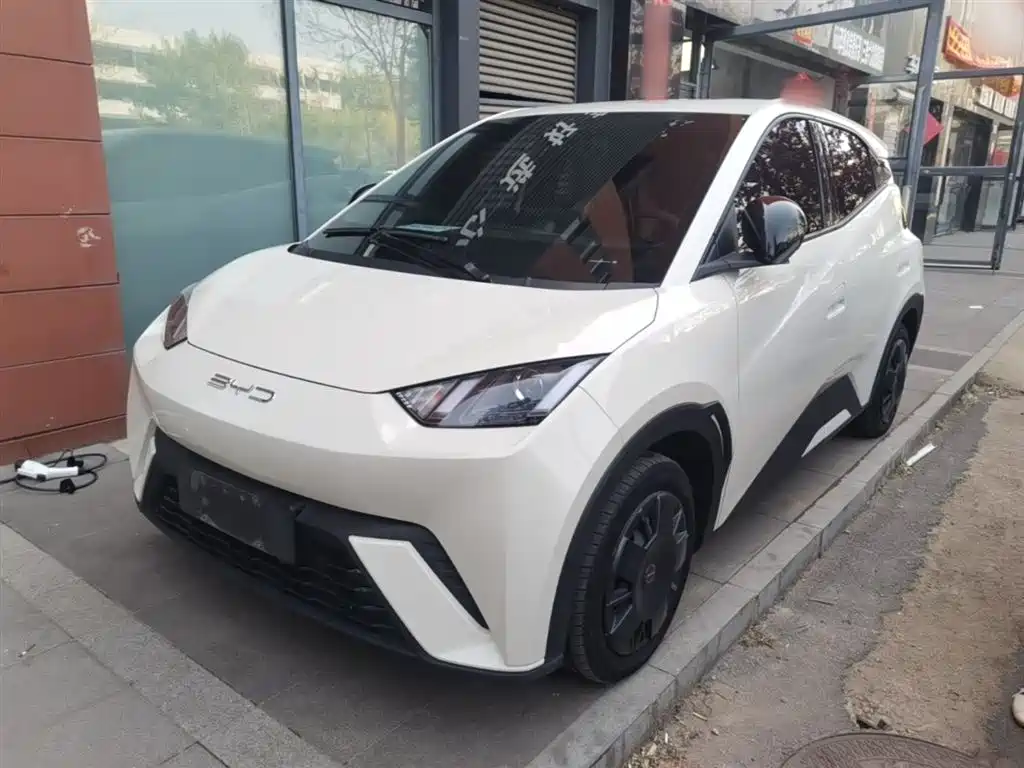 Byd Seagull 2023