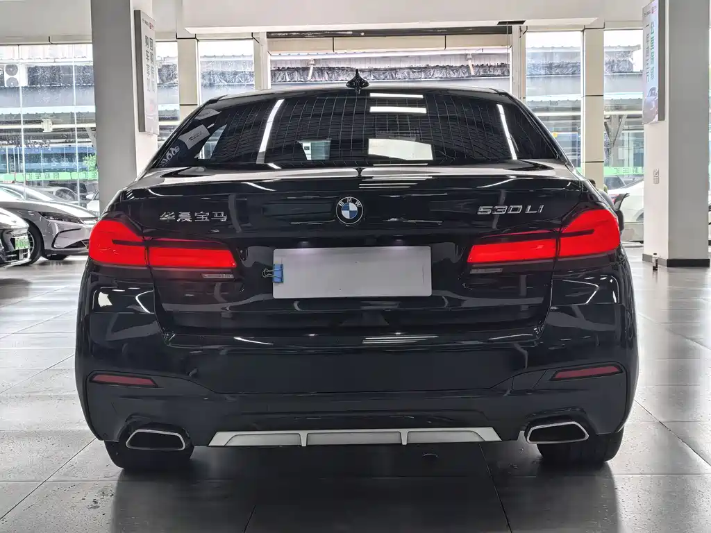 BMW 5 Series — миниатюра 16