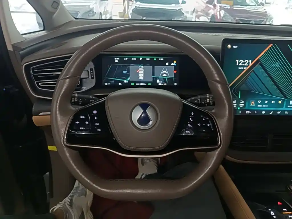 Denza Denza D9 — миниатюра 11