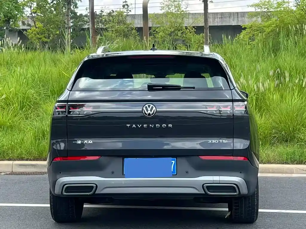 Volkswagen Tavendor — миниатюра 8