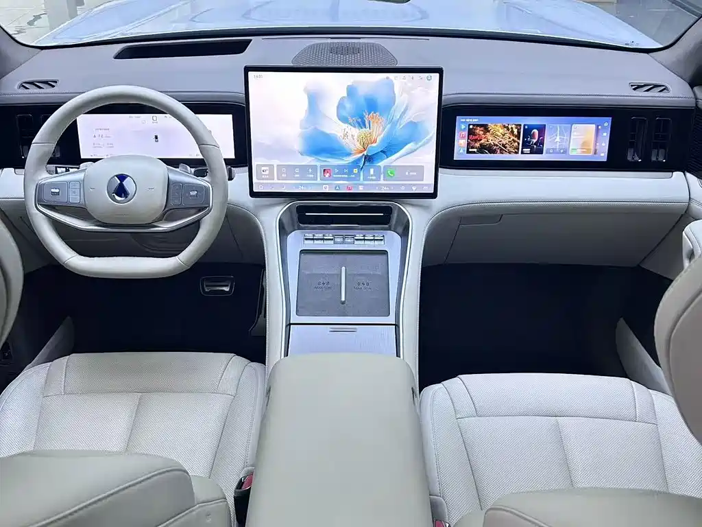 Denza Zoom N8L — миниатюра 7