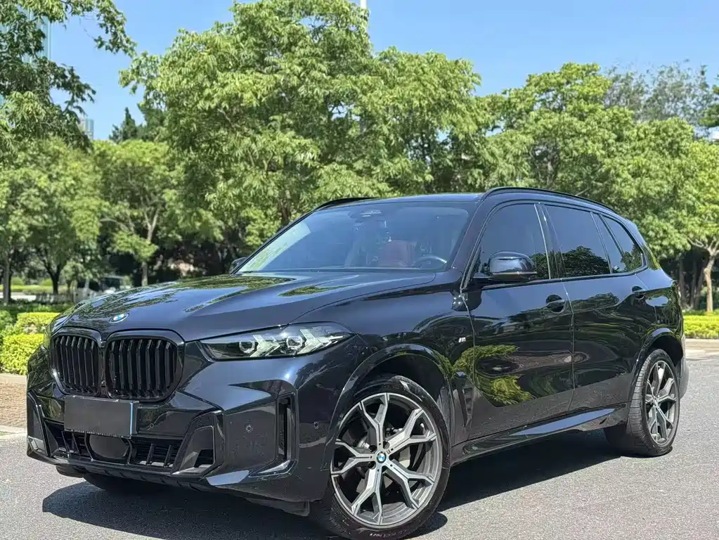 BMW X5 2024