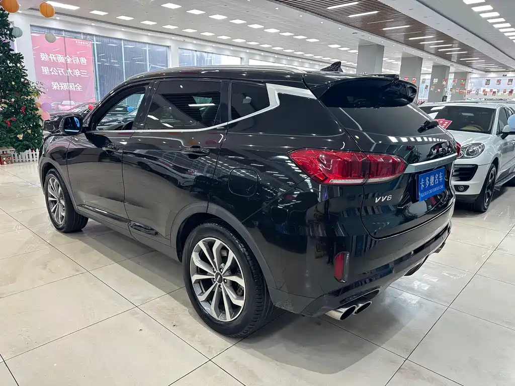 WEI PAI WEI BRAND VV6