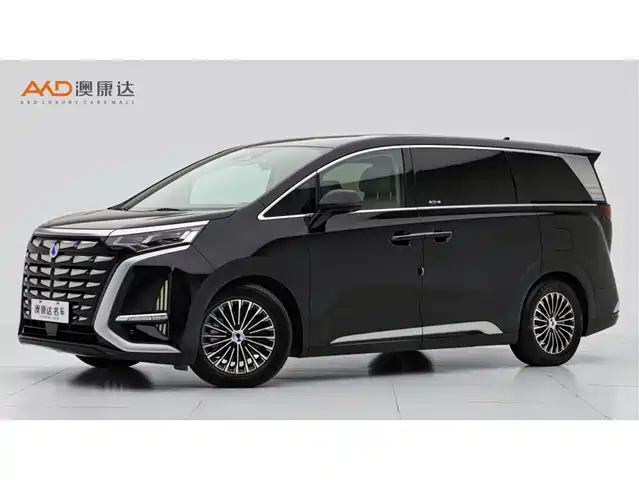 2024 Denza D9