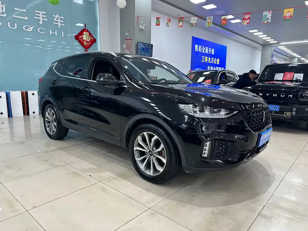 WEI PAI WEI BRAND VV6