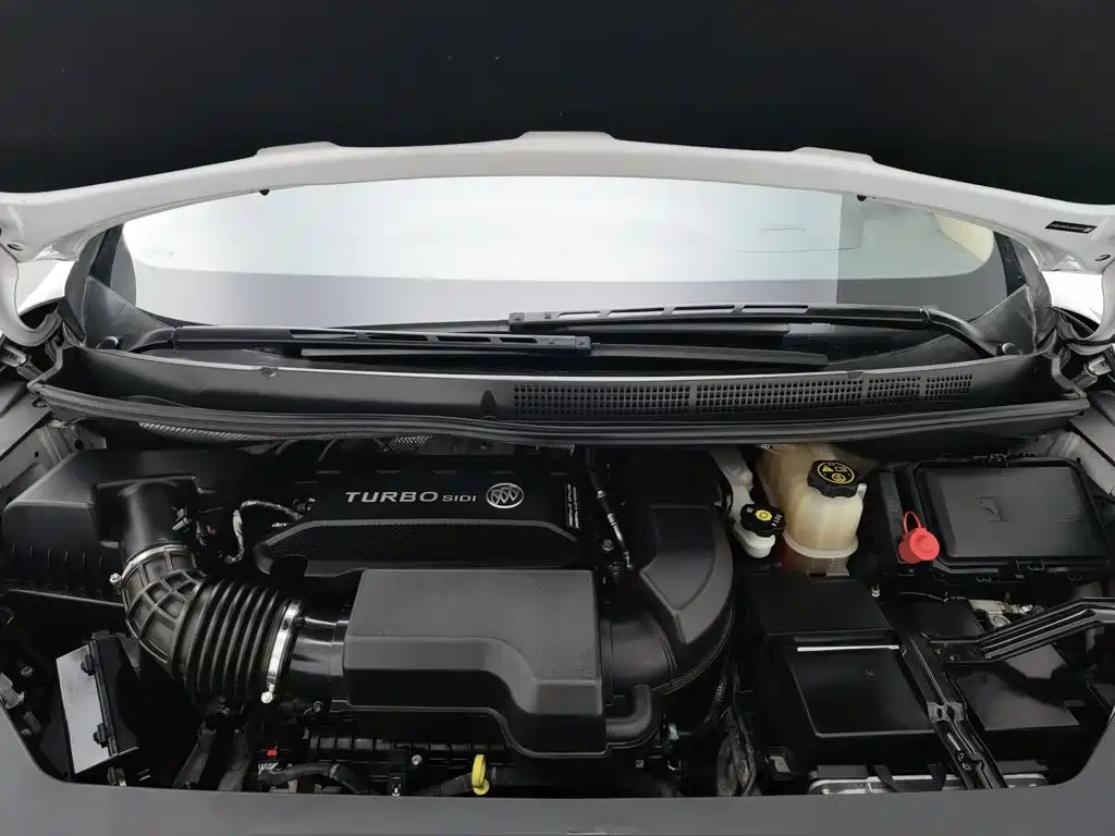 Buick GL8 — миниатюра 6