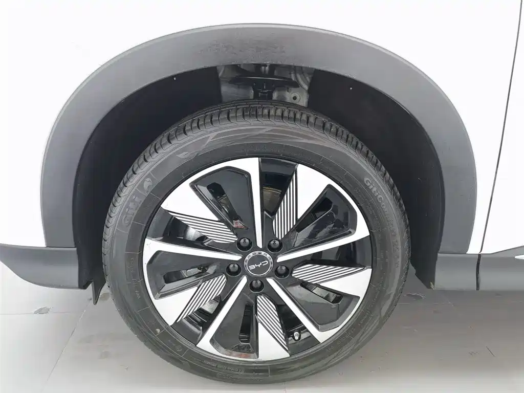 BYD SONGJIANG NEW ENERGY