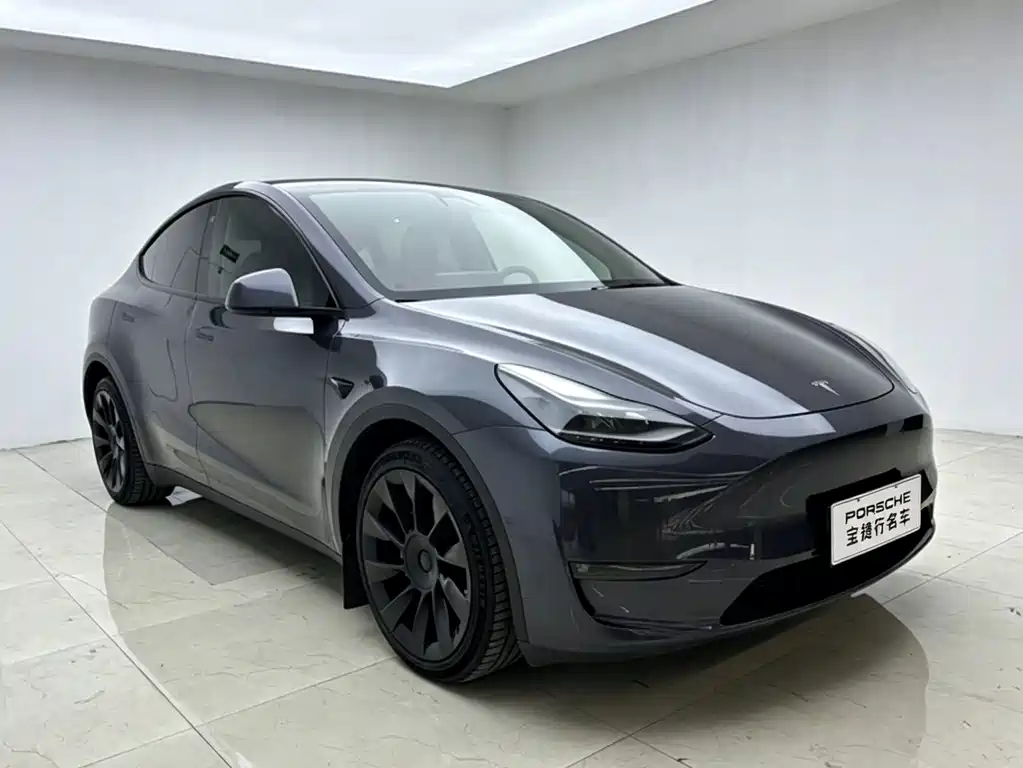 Tesla Model Y — миниатюра 6