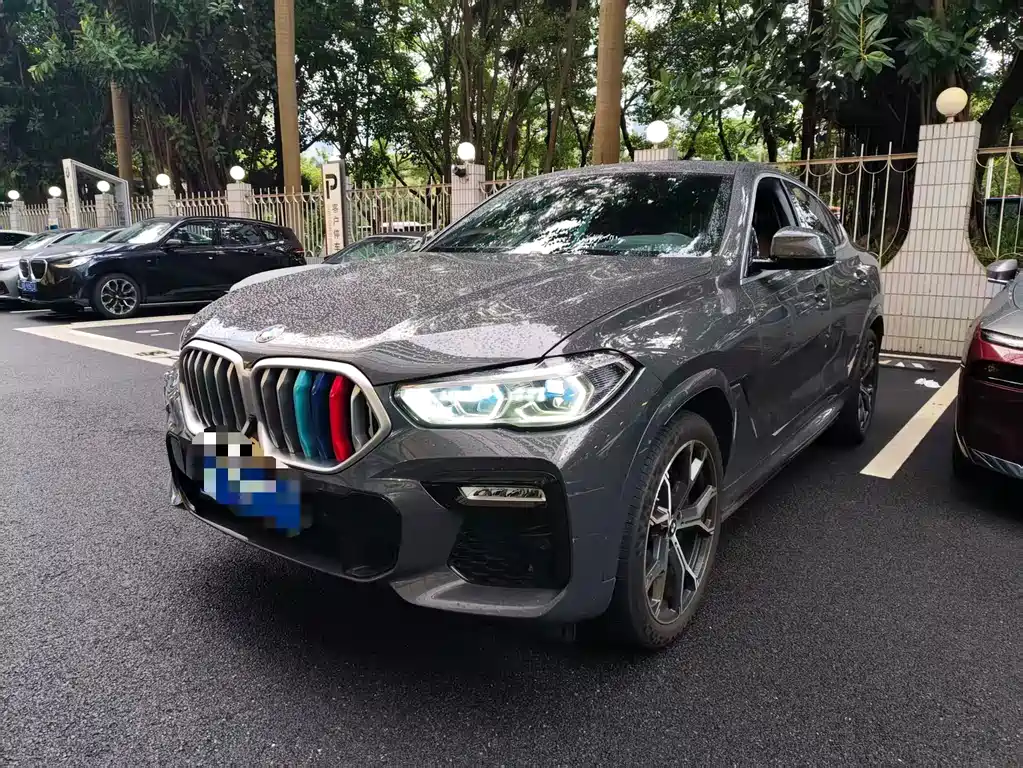 BMW X6