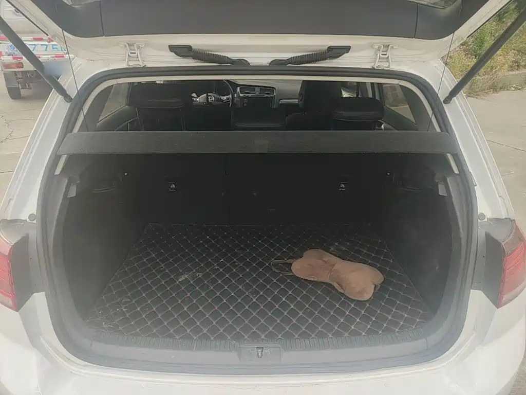 Volkswagen Golf — миниатюра 19