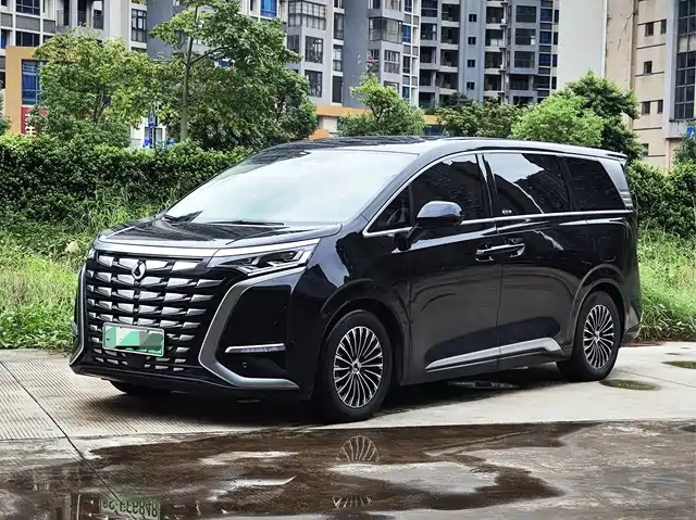 2024 Denza D9