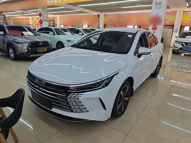 2024 BYD Destroyer