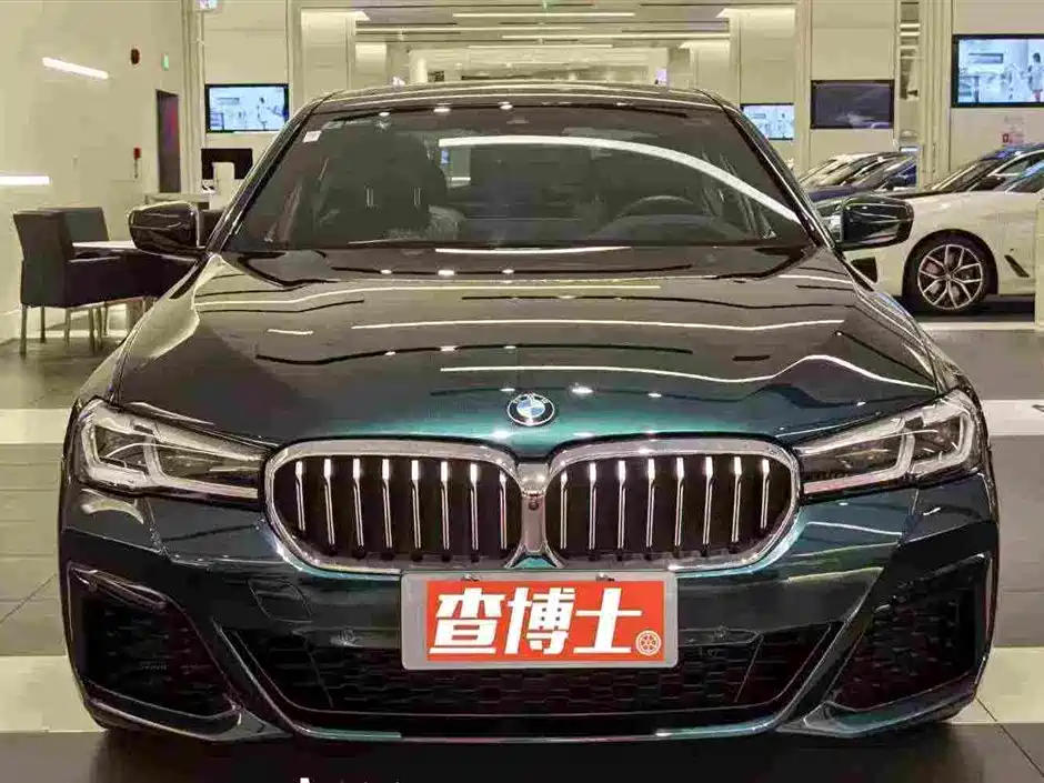 BMW 5 Series (Import) — миниатюра 3
