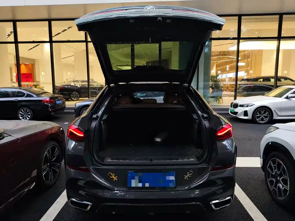 BMW X6 — миниатюра 15