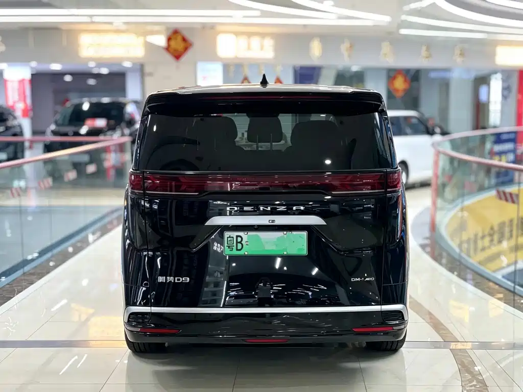 Denza Denza D9 — миниатюра 3