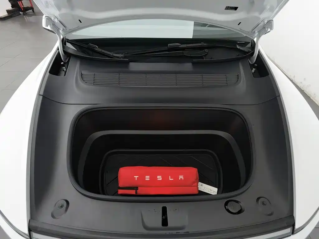 Tesla Model Y — миниатюра 6