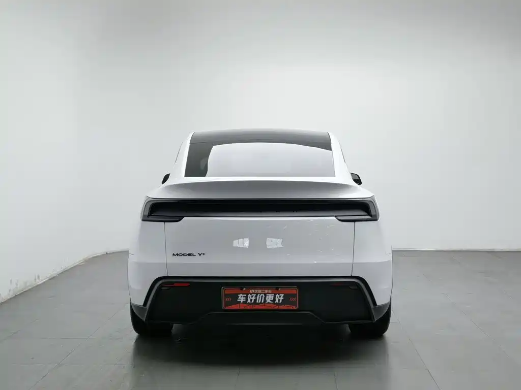 Tesla Model Y — миниатюра 4