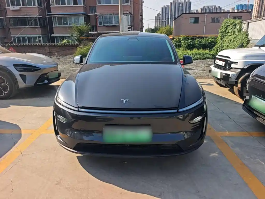 Tesla Model Y — миниатюра 3