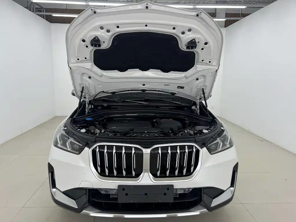 BMW X1 — миниатюра 7