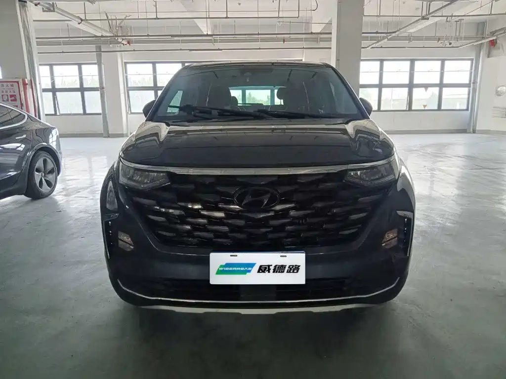 Hyundai Custo — миниатюра 2
