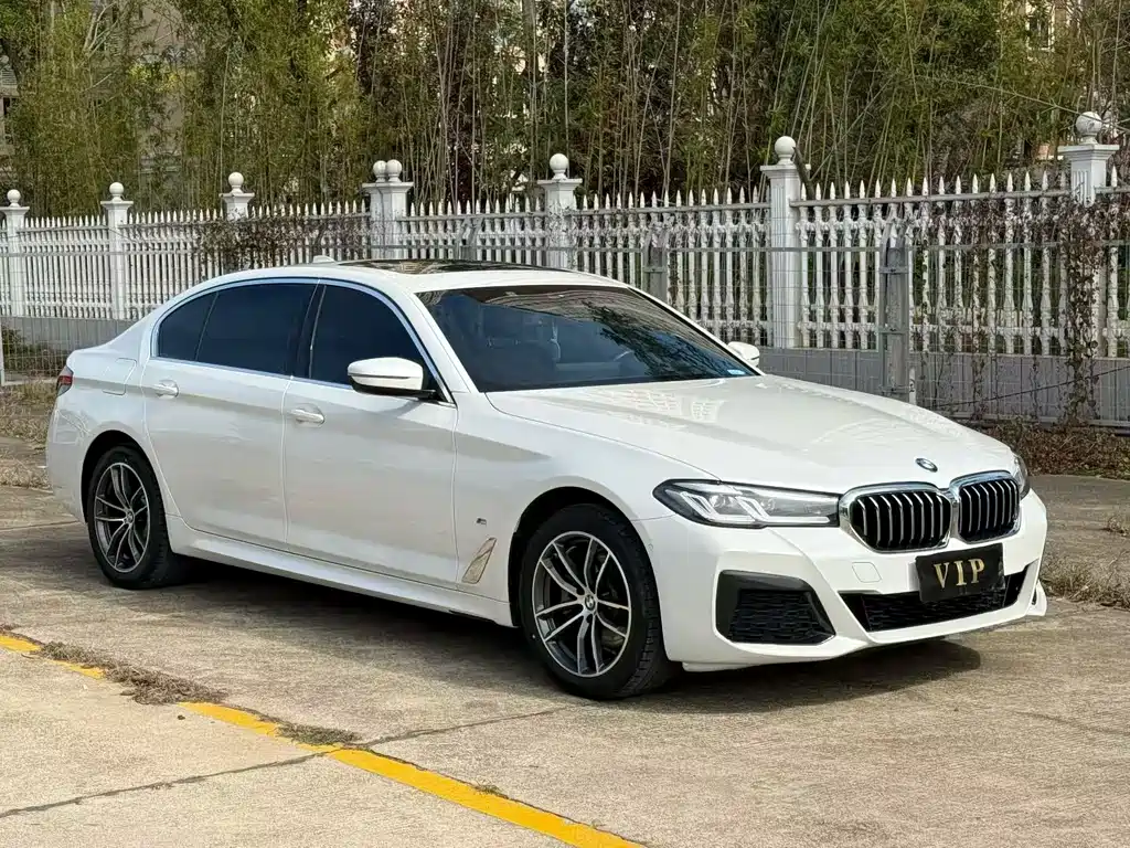 BMW 5 SERIES