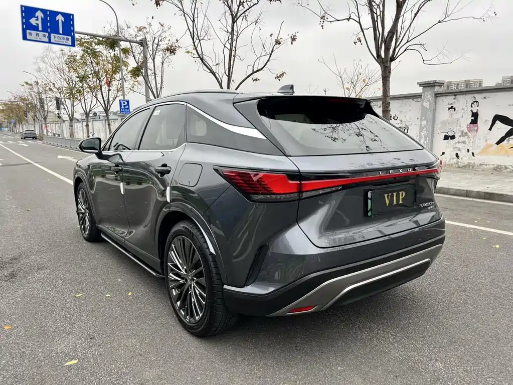 LEXUS RX NEW ENERGY