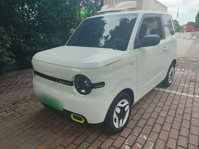 2025 Geely LC (Panda)