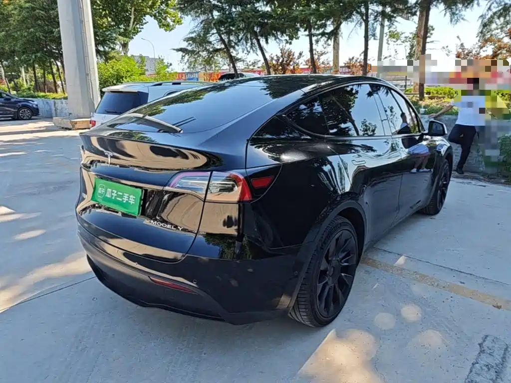 Tesla Model Y — миниатюра 5