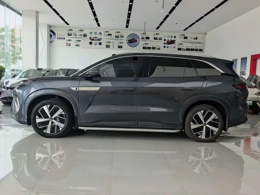 BYD Дон Л. — миниатюра 9