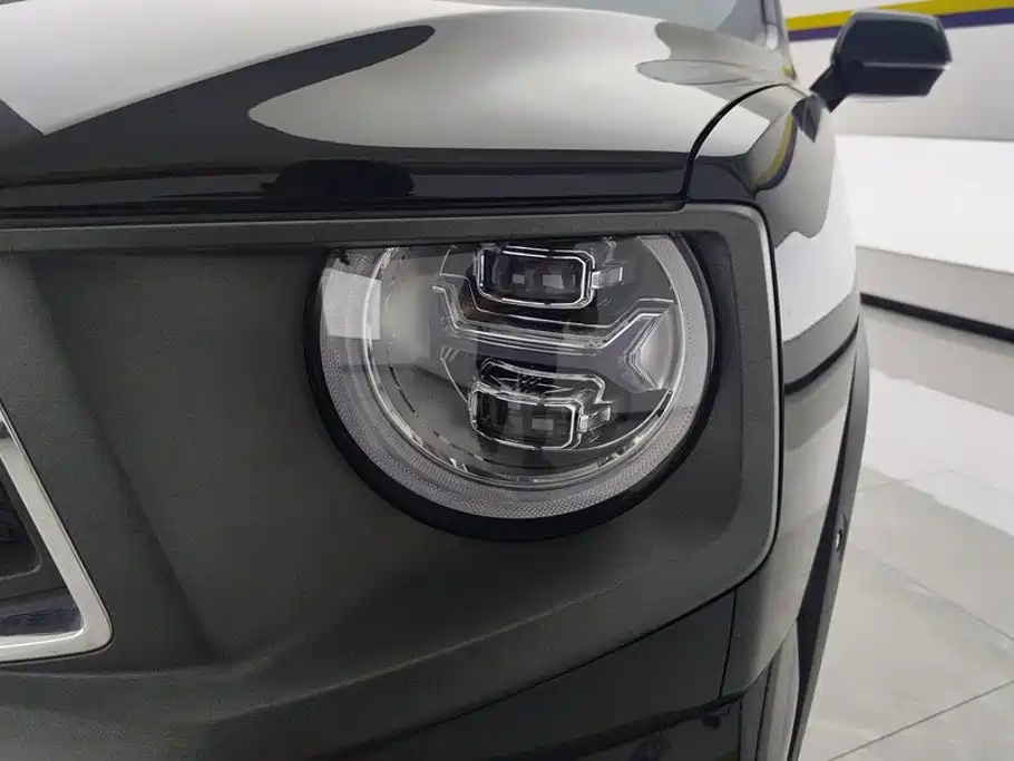 Haval Big Dog PLUS — миниатюра 5