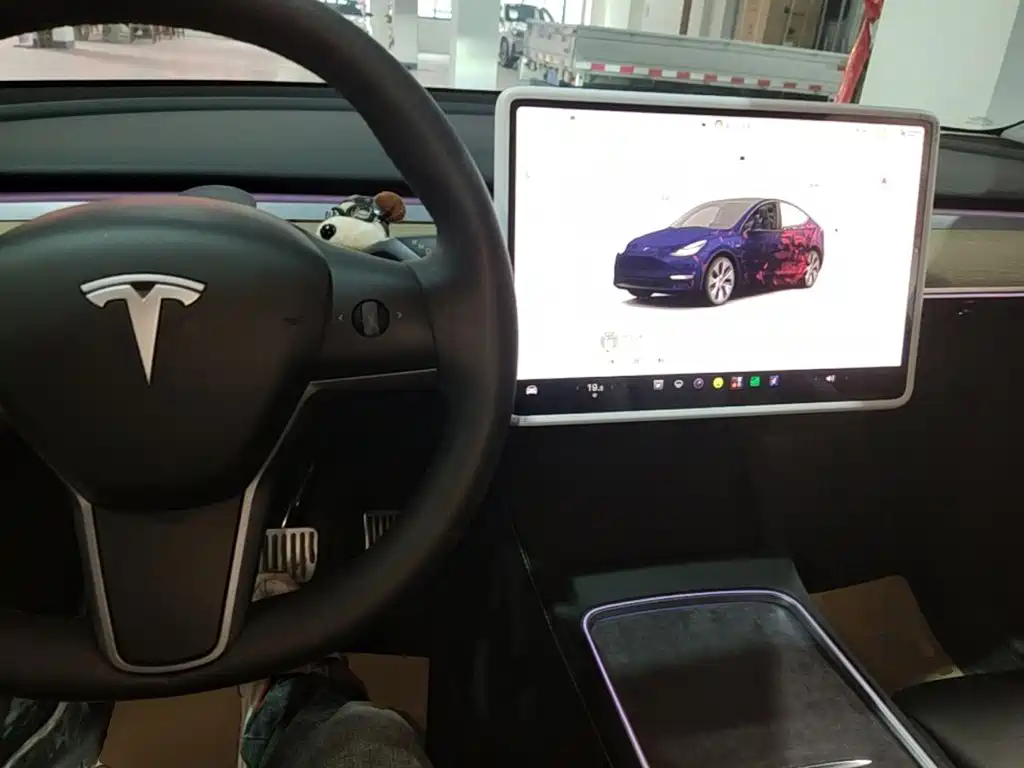 Tesla Model Y — миниатюра 10