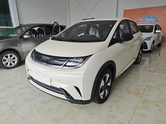 BYD Dolphin