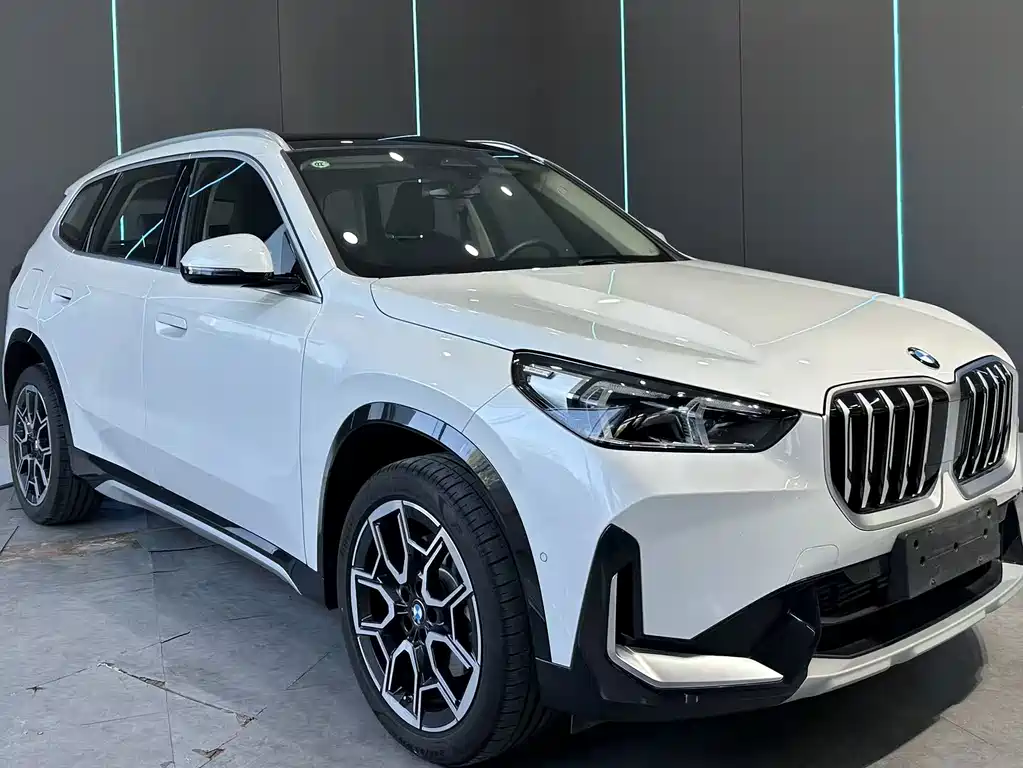 BMW X1 — миниатюра 3