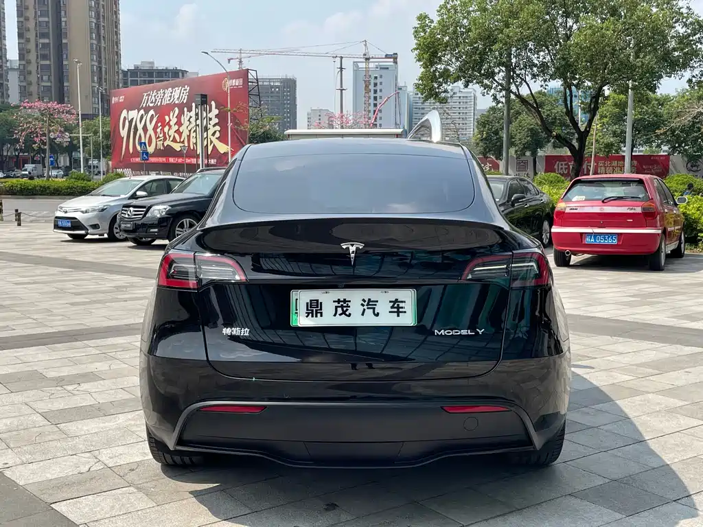 Tesla Model Y — миниатюра 4