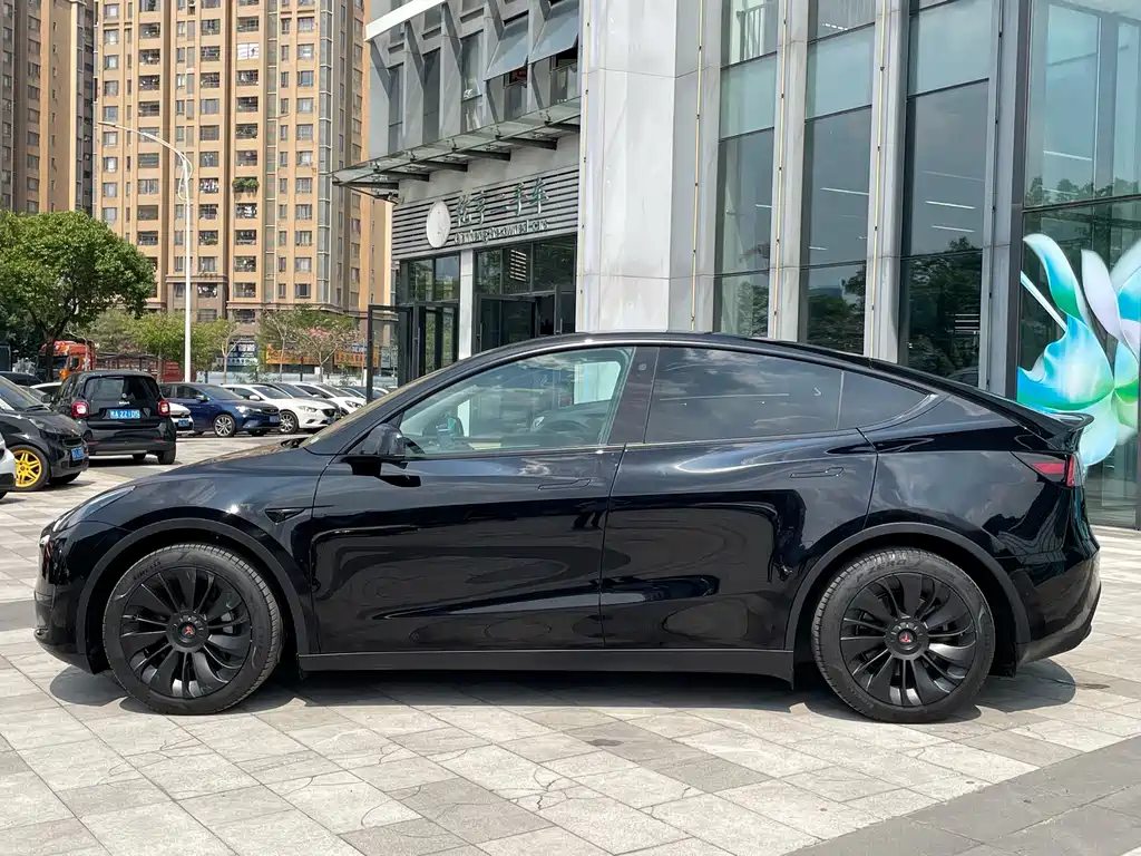 Tesla Model Y — миниатюра 3