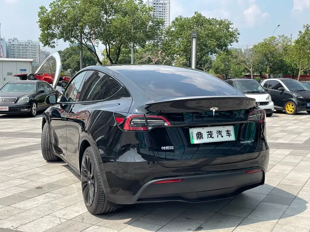 Tesla Model Y — миниатюра 6