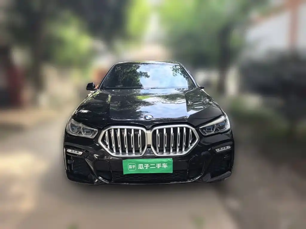 BMW X6 — миниатюра 2