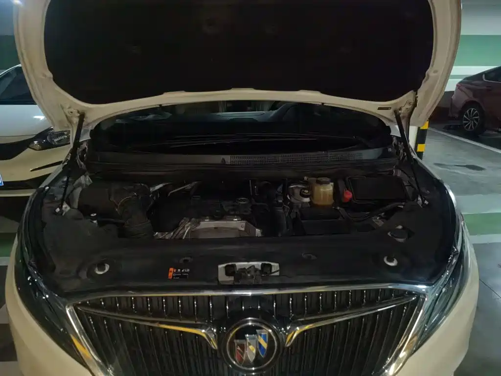 Buick GL8 — миниатюра 21