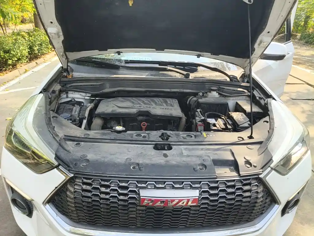 Haval H6 Coupe — миниатюра 20