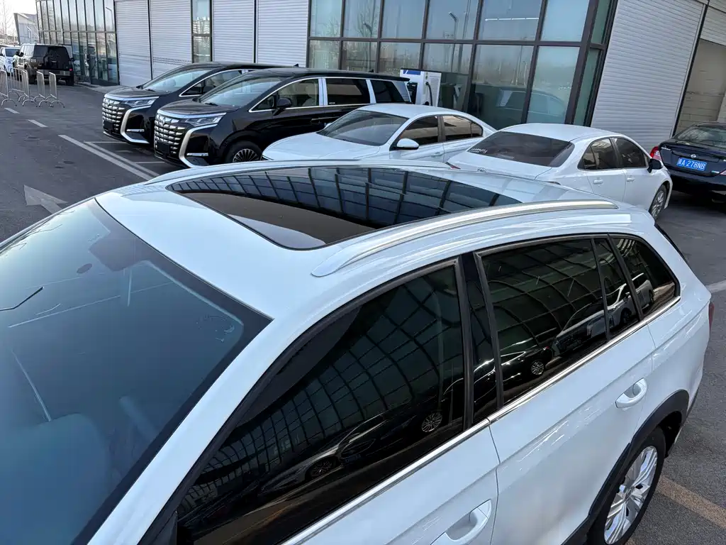 VOLKSWAGEN C TREK WEI COLLAR