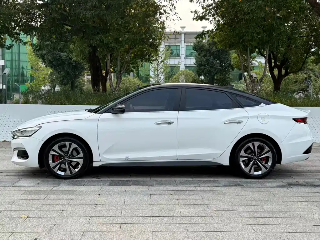 Hyundai Fista — миниатюра 3