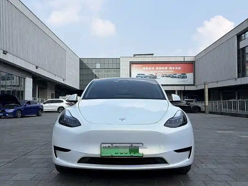 Tesla Model Y — миниатюра 2