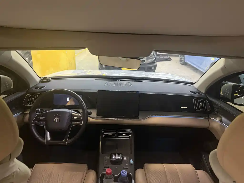 BYD Pro New Energy — миниатюра 6