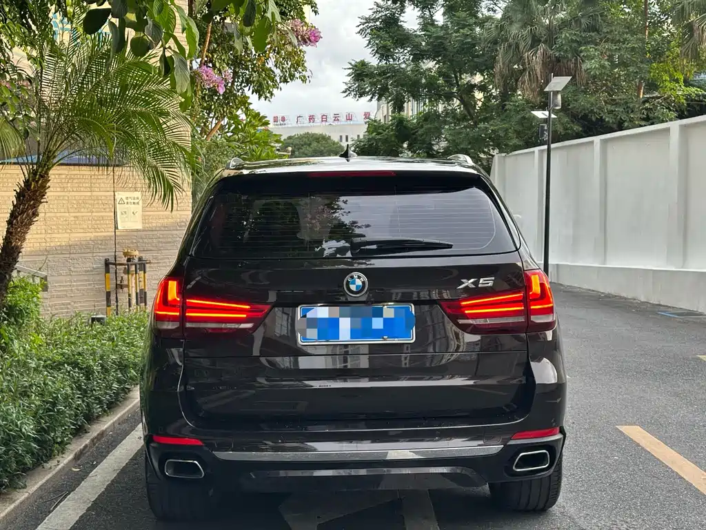 BMW X5 (Import) — миниатюра 5
